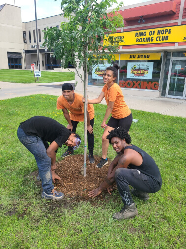 Four people planting a tree